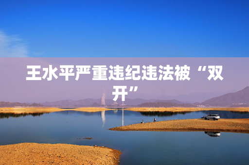 王水平严重违纪违法被“双开”