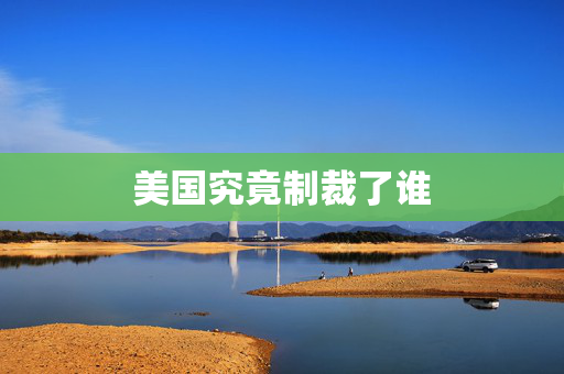 美国究竟制裁了谁
