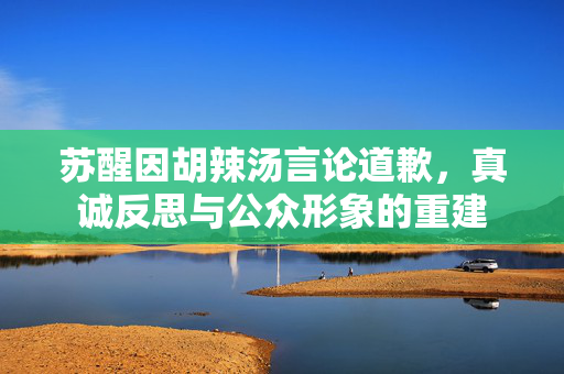 苏醒因胡辣汤言论道歉，真诚反思与公众形象的重建