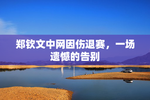 郑钦文中网因伤退赛，一场遗憾的告别