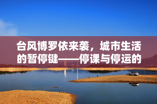 台风博罗依来袭，城市生活的暂停键——停课与停运的双重挑战