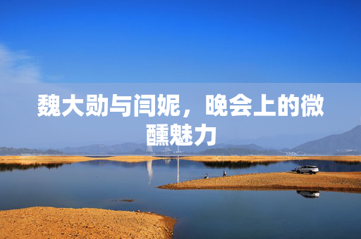 魏大勋与闫妮，晚会上的微醺魅力