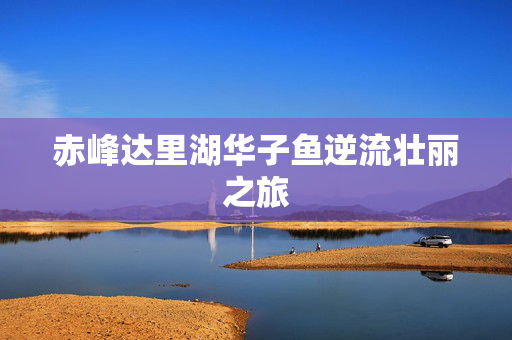 赤峰达里湖华子鱼逆流壮丽之旅