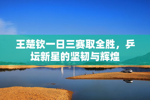 王楚钦一日三赛取全胜，乒坛新星的坚韧与辉煌