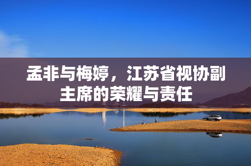 孟非与梅婷，江苏省视协副主席的荣耀与责任