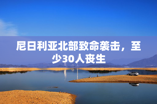 尼日利亚北部致命袭击，至少30人丧生