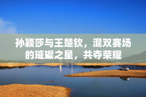 孙颖莎与王楚钦，混双赛场的璀璨之星，共夺荣耀