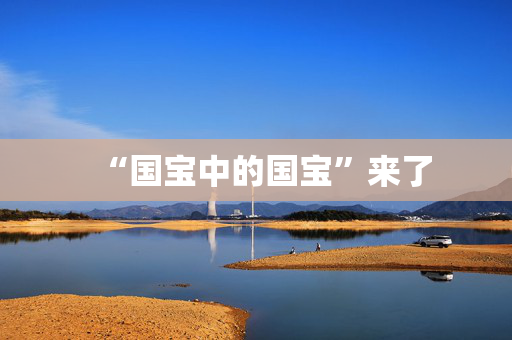 “国宝中的国宝”来了