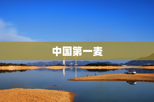 中国第一麦