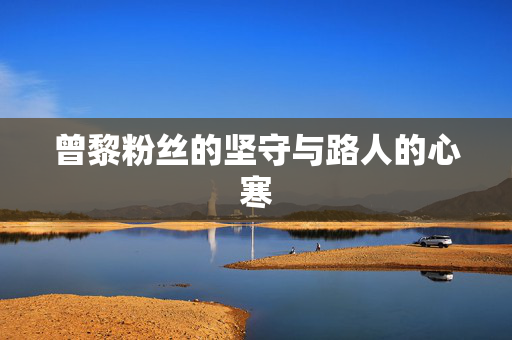 曾黎粉丝的坚守与路人的心寒