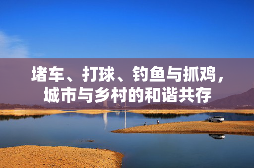 堵车、打球、钓鱼与抓鸡，城市与乡村的和谐共存