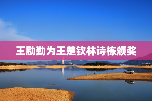 王励勤为王楚钦林诗栋颁奖