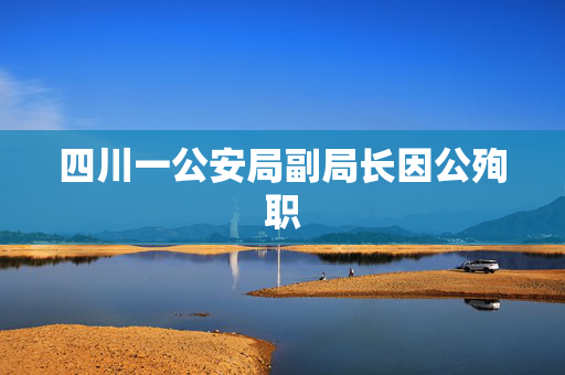 四川一公安局副局长因公殉职