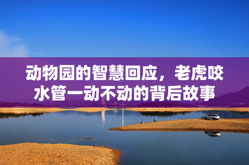 动物园的智慧回应，老虎咬水管一动不动的背后故事