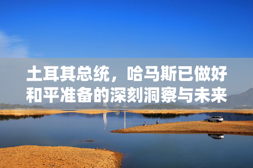 土耳其总统，哈马斯已做好和平准备的深刻洞察与未来展望