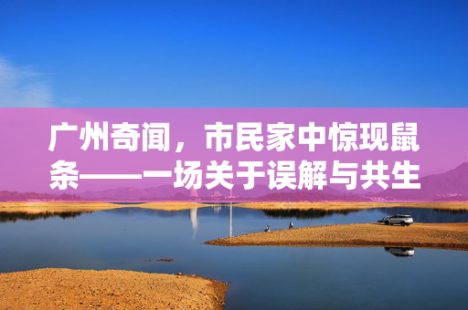 广州奇闻，市民家中惊现鼠条——一场关于误解与共生的城市寓言
