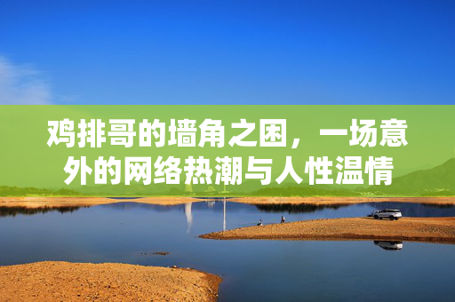 鸡排哥的墙角之困，一场意外的网络热潮与人性温情
