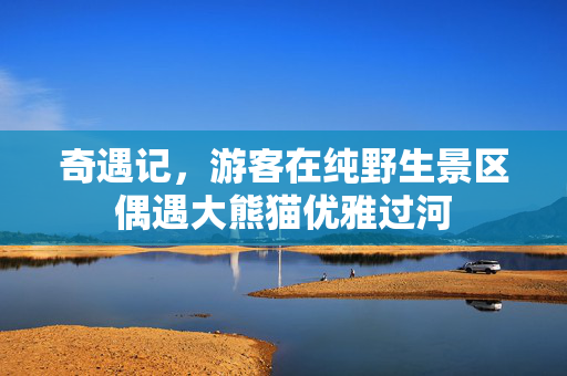 奇遇记，游客在纯野生景区偶遇大熊猫优雅过河
