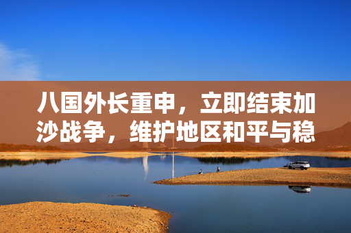 八国外长重申，立即结束加沙战争，维护地区和平与稳定