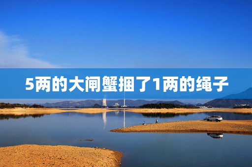 5两的大闸蟹捆了1两的绳子