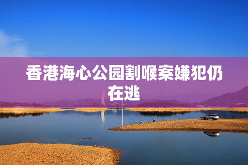 香港海心公园割喉案嫌犯仍在逃