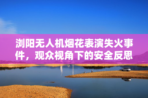 浏阳无人机烟花表演失火事件，观众视角下的安全反思与呼吁