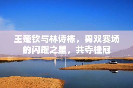 王楚钦与林诗栋，男双赛场的闪耀之星，共夺桂冠