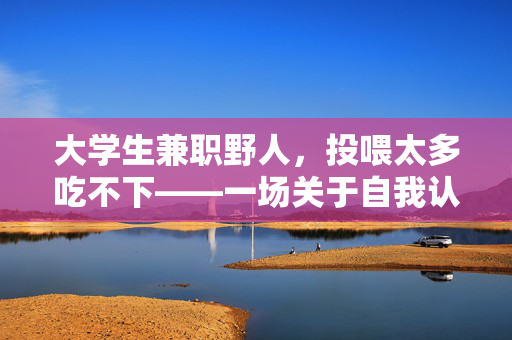 大学生兼职野人，投喂太多吃不下——一场关于自我认知与成长的奇妙之旅