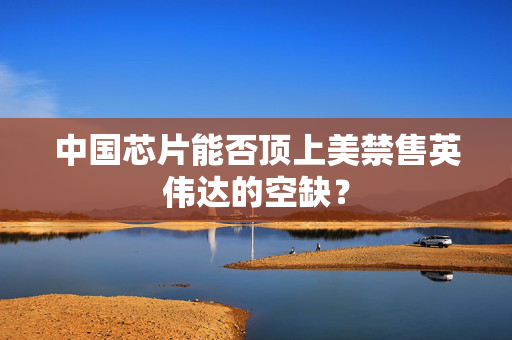 中国芯片能否顶上美禁售英伟达的空缺？