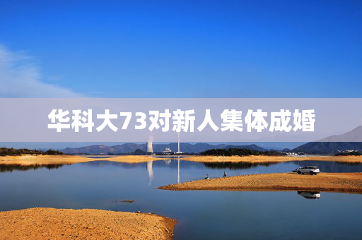 华科大73对新人集体成婚