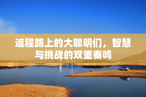 返程路上的大聪明们，智慧与挑战的双重奏鸣