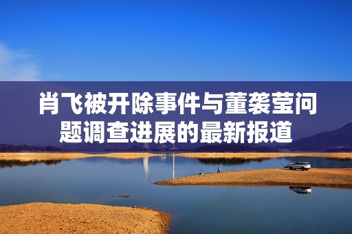 肖飞被开除事件与董袭莹问题调查进展的最新报道