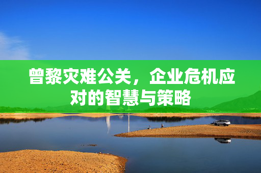 曾黎灾难公关，企业危机应对的智慧与策略
