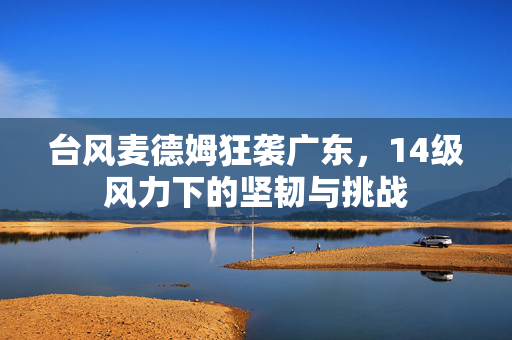 台风麦德姆狂袭广东，14级风力下的坚韧与挑战
