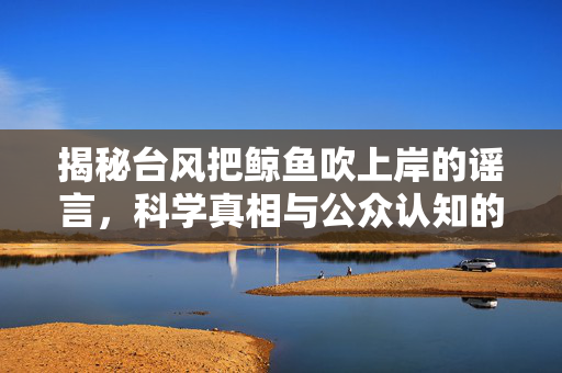揭秘台风把鲸鱼吹上岸的谣言，科学真相与公众认知的误区