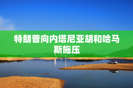特朗普向内塔尼亚胡和哈马斯施压