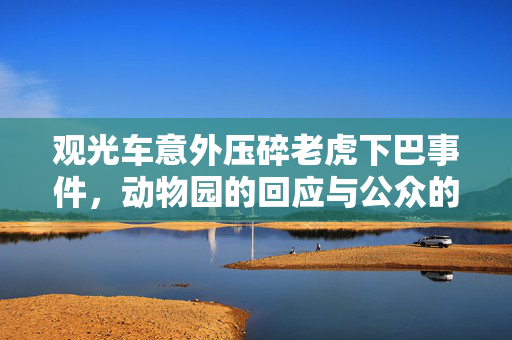 观光车意外压碎老虎下巴事件，动物园的回应与公众的反思