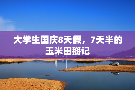 大学生国庆8天假，7天半的玉米田掰记