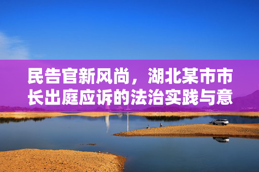 民告官新风尚，湖北某市市长出庭应诉的法治实践与意义
