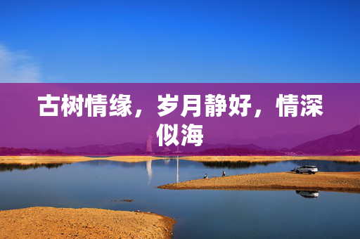 古树情缘，岁月静好，情深似海