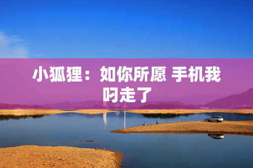 小狐狸：如你所愿 手机我叼走了