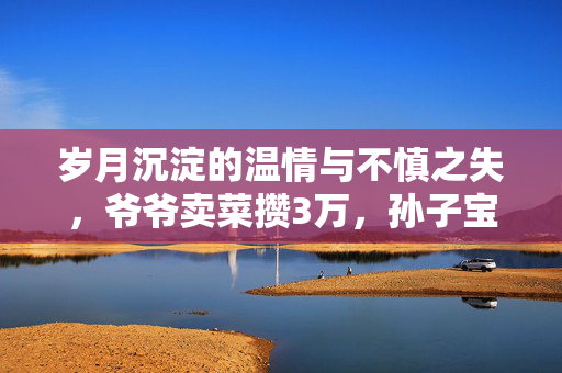 岁月沉淀的温情与不慎之失，爷爷卖菜攒3万，孙子宝马车内被盗记