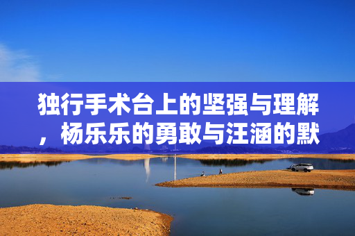 独行手术台上的坚强与理解，杨乐乐的勇敢与汪涵的默默支持