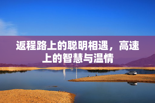 返程路上的聪明相遇，高速上的智慧与温情