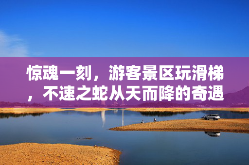 惊魂一刻，游客景区玩滑梯，不速之蛇从天而降的奇遇