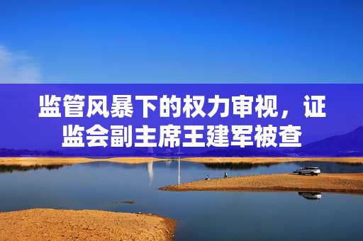 监管风暴下的权力审视，证监会副主席王建军被查