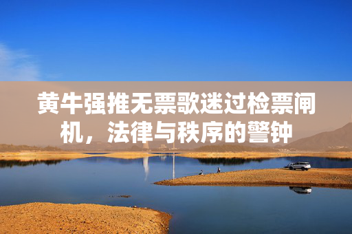 黄牛强推无票歌迷过检票闸机，法律与秩序的警钟