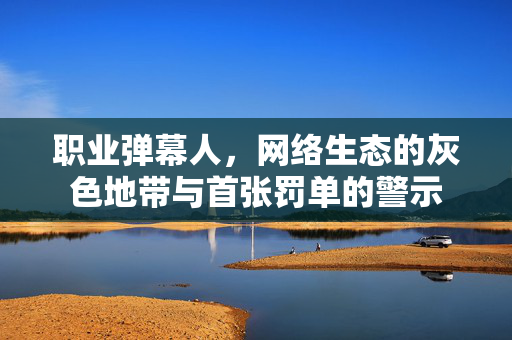 职业弹幕人，网络生态的灰色地带与首张罚单的警示