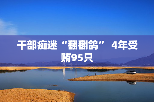 干部痴迷“翻翻鸽” 4年受贿95只