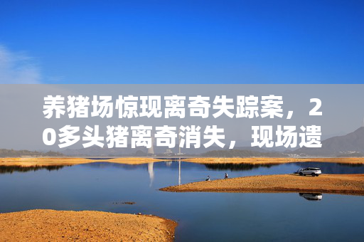 养猪场惊现离奇失踪案，20多头猪离奇消失，现场遗留多支箭头引发猜测
